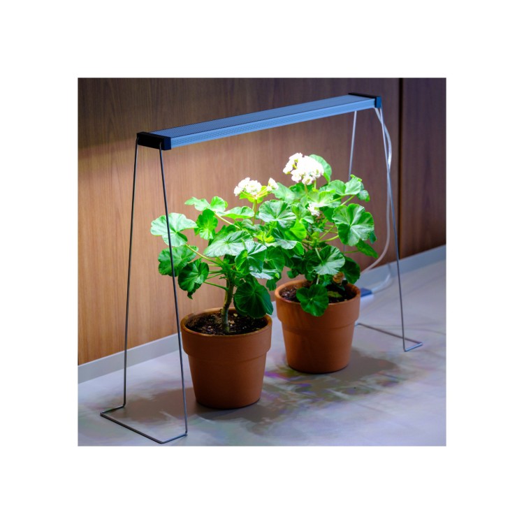 Twinstar spring wire 35 cm set - imagine 4